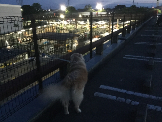 7A3458C9-458B-4EDD-A72D-DAE814F1438D.jpg